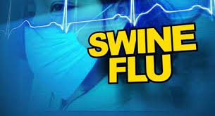 preventivemeasurestakenforswineflu